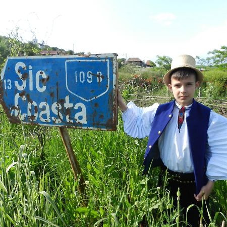 Csipkeszeg Bed & Breakfast Sic / Szek Romania المظهر الخارجي الصورة