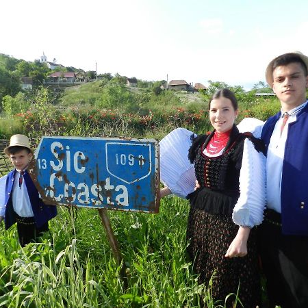 Csipkeszeg Bed & Breakfast Sic / Szek Romania المظهر الخارجي الصورة