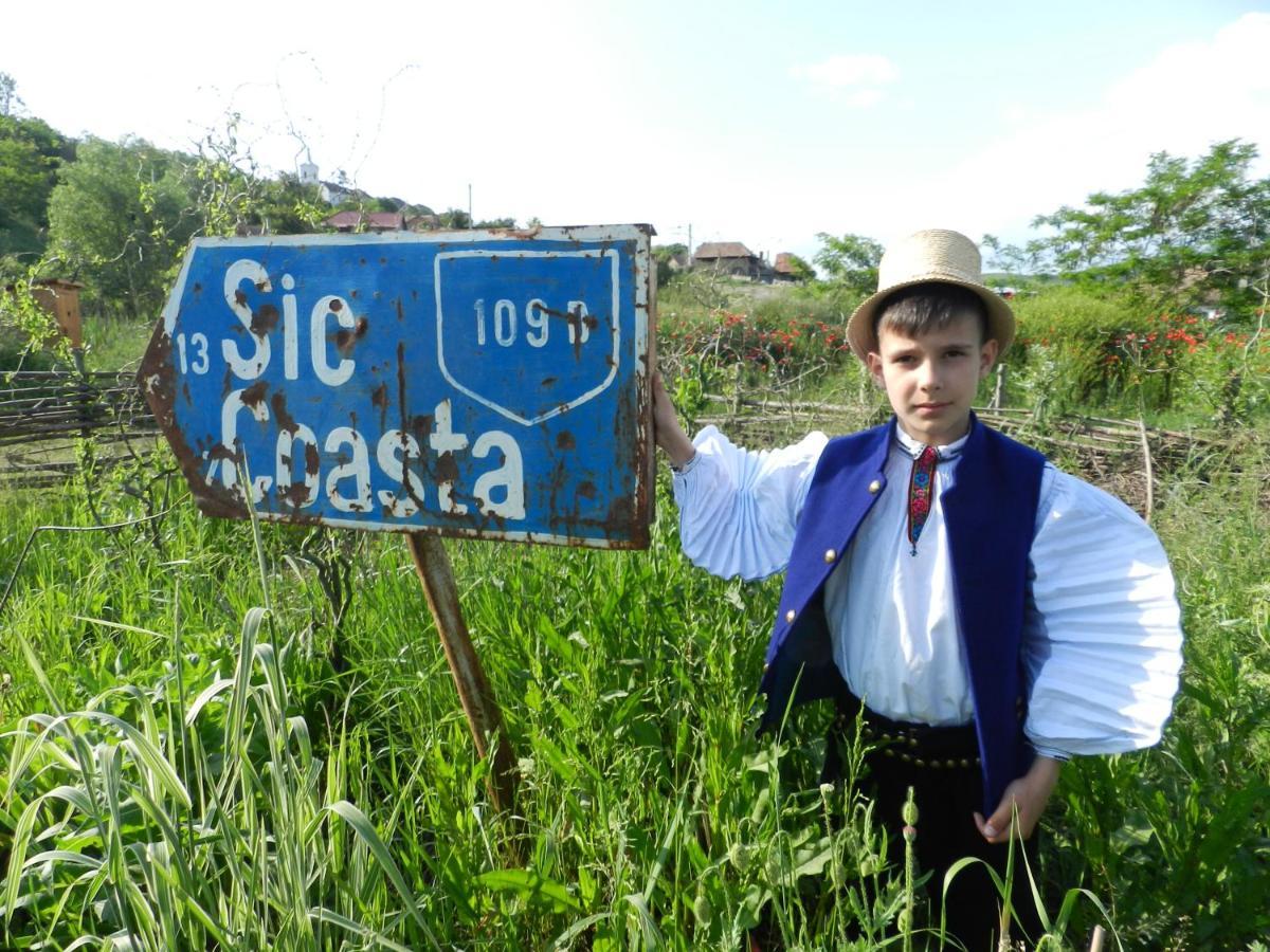 Csipkeszeg Bed & Breakfast Sic / Szek Romania المظهر الخارجي الصورة