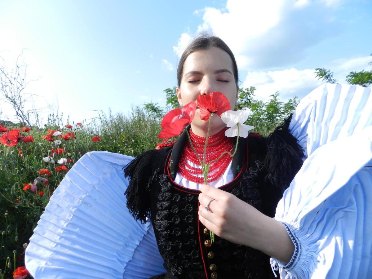 Csipkeszeg Bed & Breakfast Sic / Szek Romania المظهر الخارجي الصورة