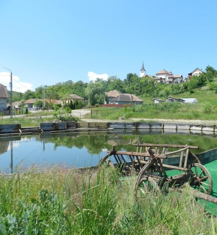 Csipkeszeg Bed & Breakfast Sic / Szek Romania المظهر الخارجي الصورة