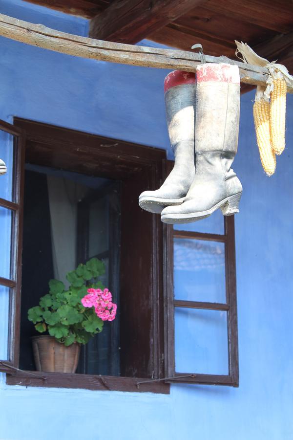 Csipkeszeg Bed & Breakfast Sic / Szek Romania المظهر الخارجي الصورة