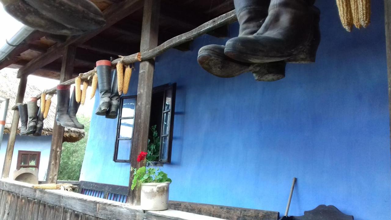 Csipkeszeg Bed & Breakfast Sic / Szek Romania المظهر الخارجي الصورة